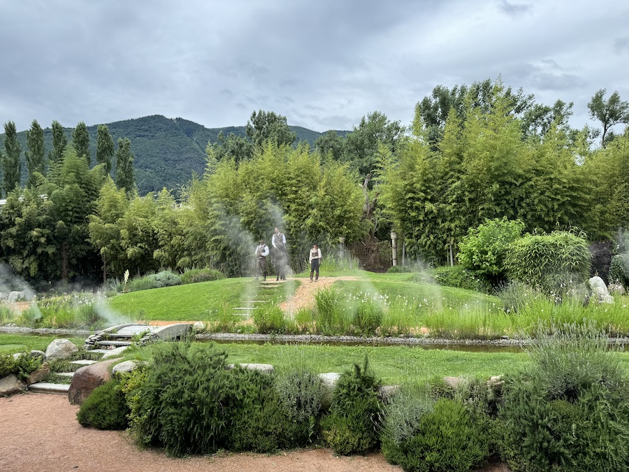 The finale of the show at the Falconeria Locarno.