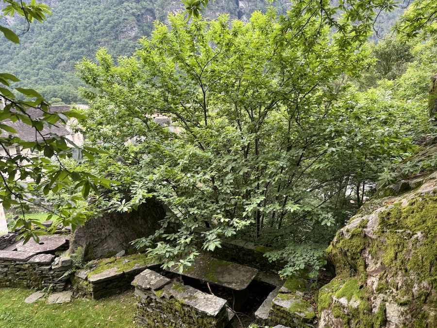A stone relaxation corner under a cozy tree canopy.