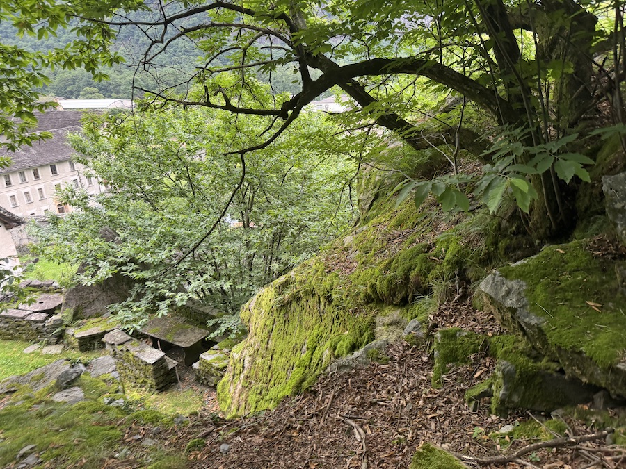 Mountain trail leading to a hidden village.
