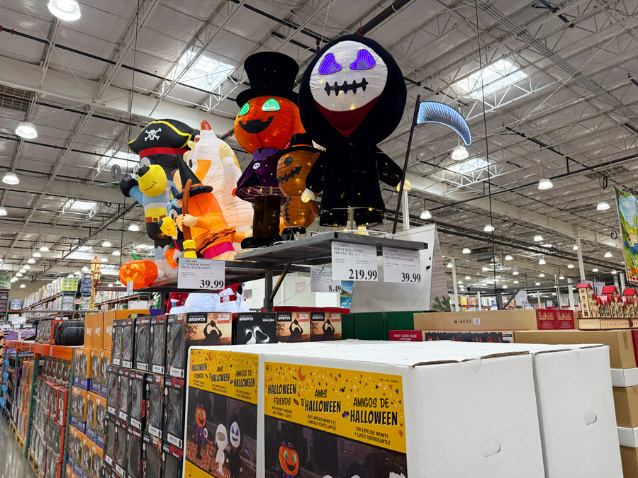Halloween Finds at Costco