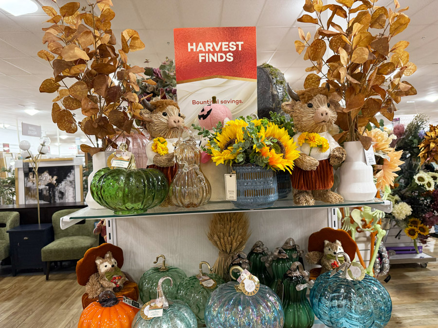 Harvest Finds at T.J.Maxx