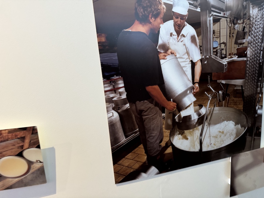 Exhibits explaining the cheese-making process.