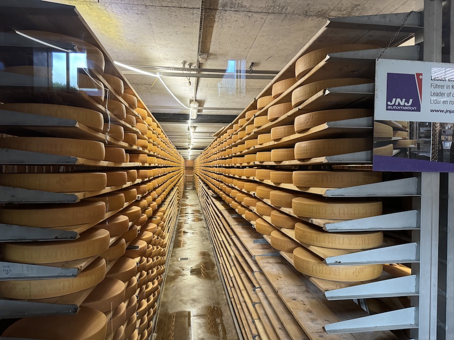 A cheese-aging cave with hundreds of golden wheels on racks.
