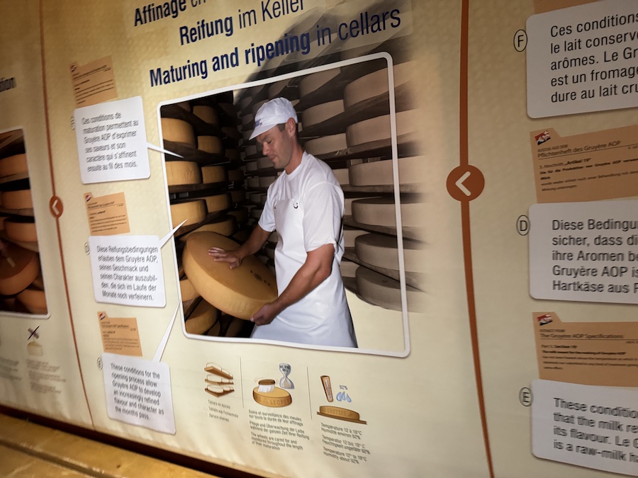 How does cheese become what we see on store shelves?