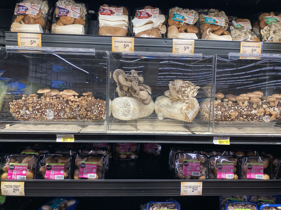 Mushroom Blends at Pavilions
