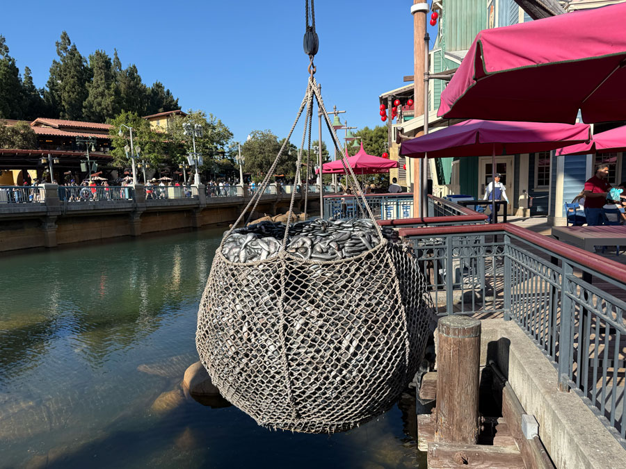 Pacific Wharf Cafe - Disney California Adventure Park