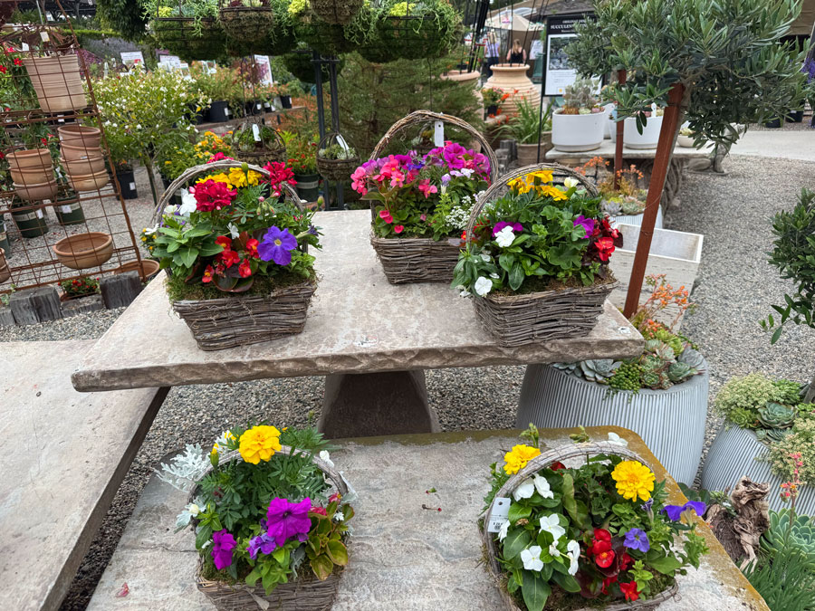 Roger's Gardens Fall Finds
