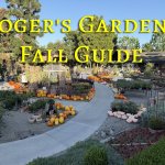 Rogers Gardens Fall Guide