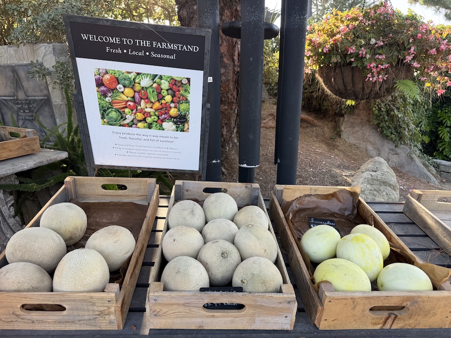 Freshly picked melons stacked neatly in a wooden crate.
