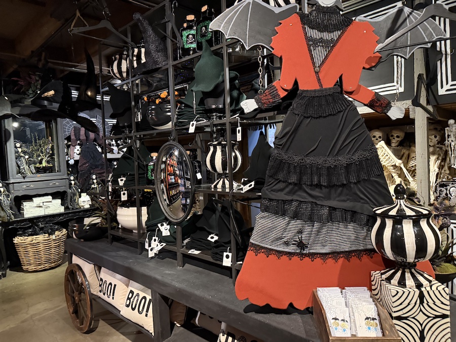Witch mannequins dressed in dark gowns.