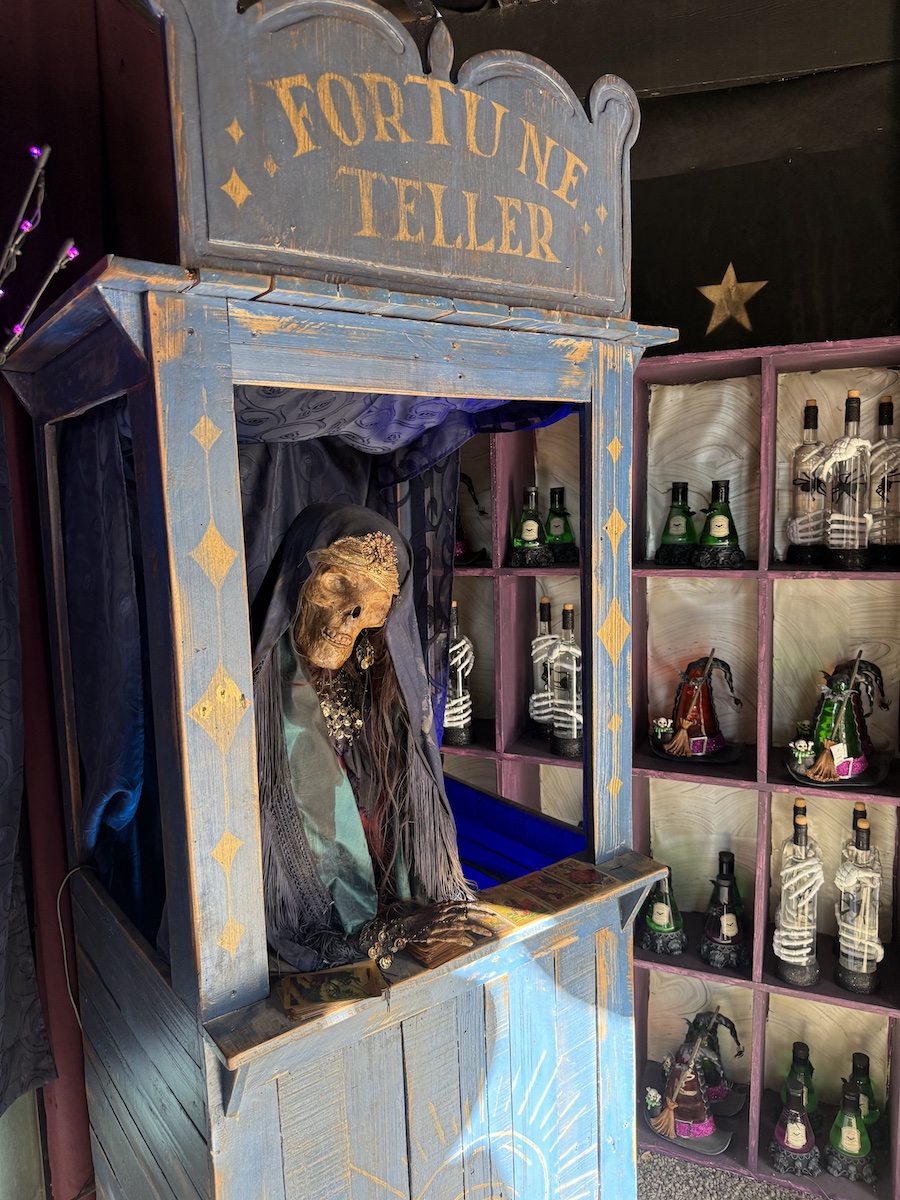A skeleton of a mystical fortune teller in shimmering clothing.