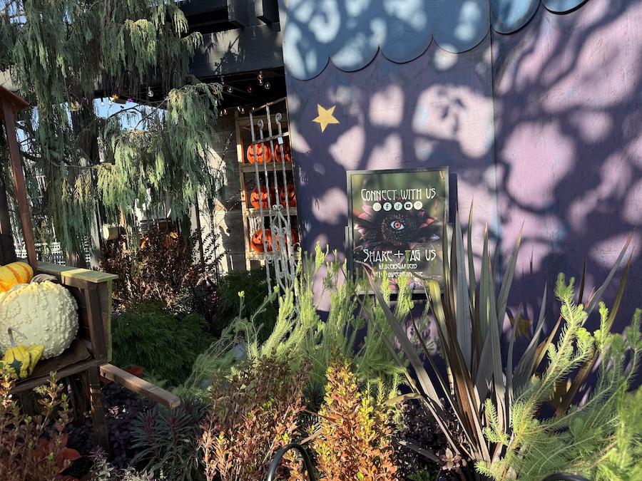 Decorated area near Rogers Gardens Midnight Market
