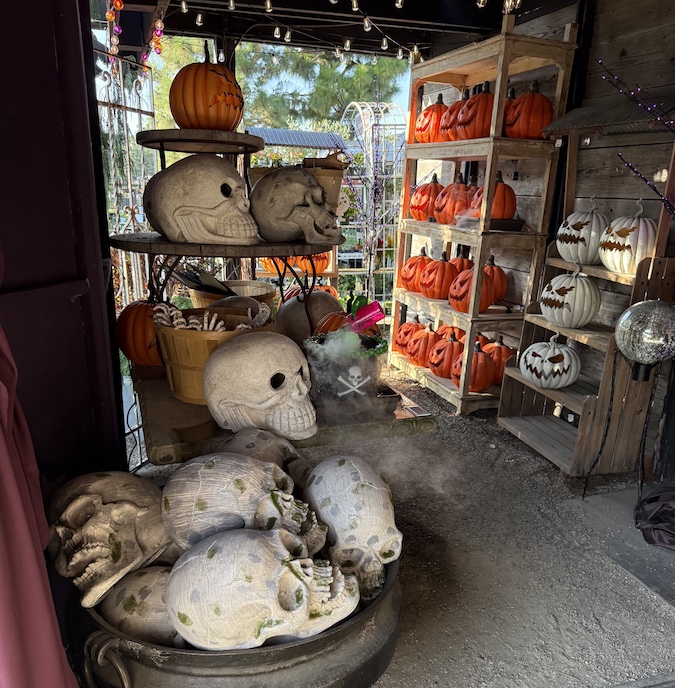 Pile of decorative skulls in all sizes.