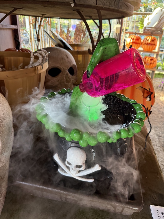 The witchcraft begins upon entering the store.