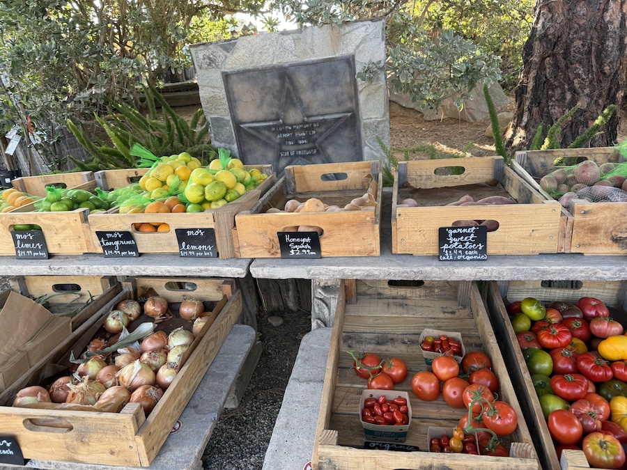 A display of seasonal vegetables including tomatoes, onions, and sweet potatoes.