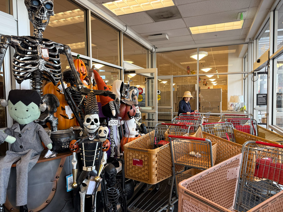 Spooky Skeletons Decor at T.J.Maxx