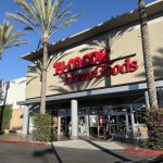 T.J. Maxx Halloween 2025: Themed Decor Finds You Missed