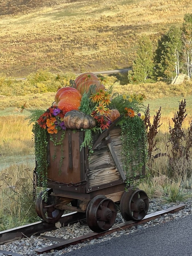 Gifts of autumn against the backdrop of nature