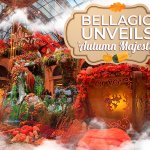 The Bellagio's 2025 Fall Exhibition