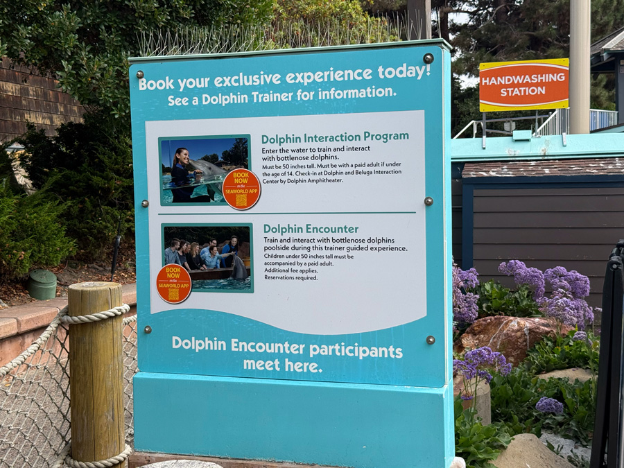 Dolphin Encounter discount - SeaWorld