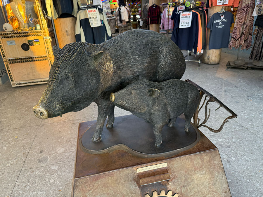Javelina 'Piggy' Bank - Sedona