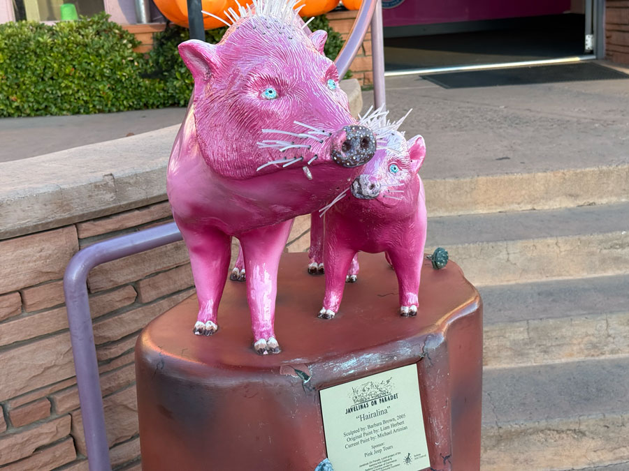 Javelinas on Parade "Hairalina" - Sedona