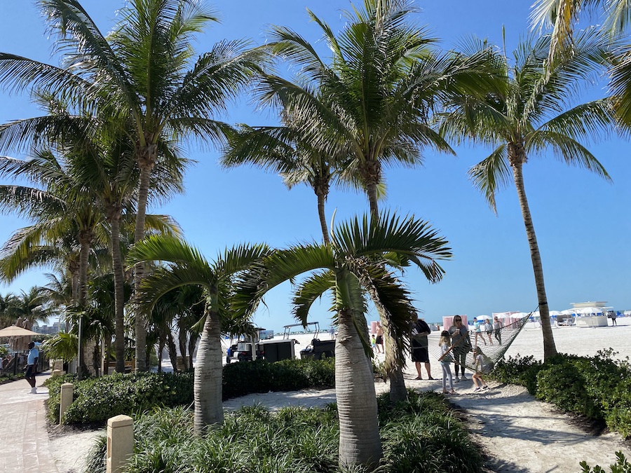 A lush, manicured garden path leading to the beach.