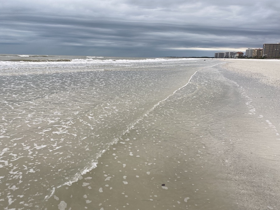 Clear water on the coast of Marco Island.