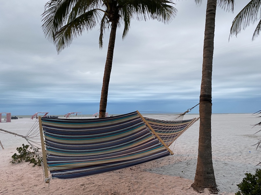 Hammock tied between two palm trees overlooking the turquoise waters of Marco Island.