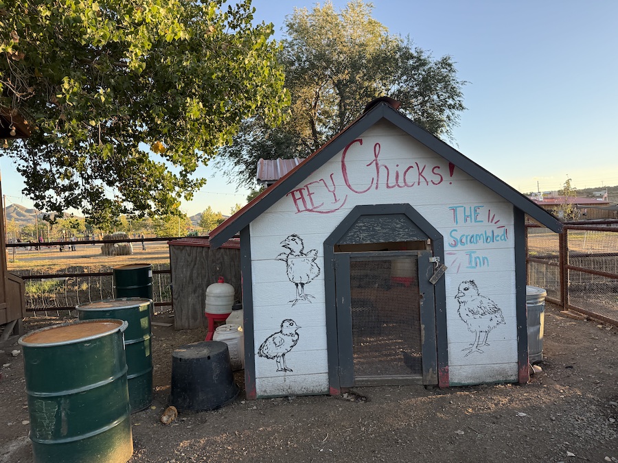Cozy chicken coop during fall season at Mortimer Farms.