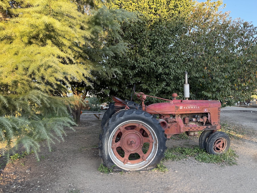 Vintage tractor on display at Mortimer Farms.