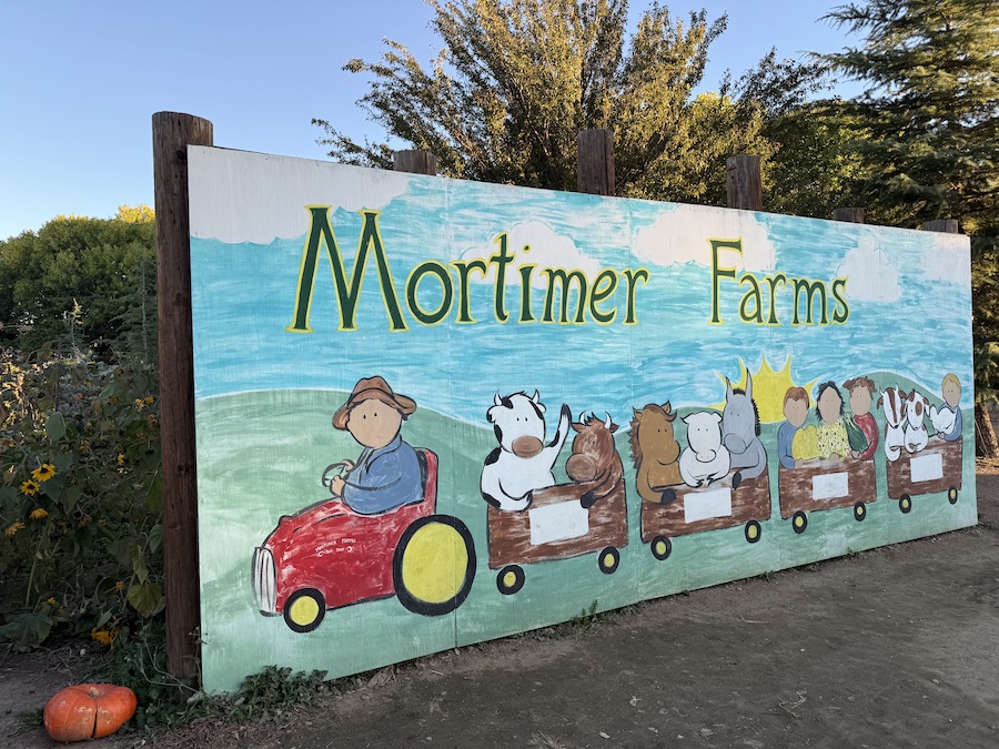 The Excellent Fall Adventure: Mortimer Farms Pumpkin Patch in Arizona