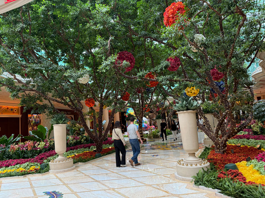 Orangery at Wynn & Encore Resorts