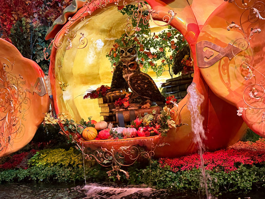 Parliament of Owls - Bellagio 'Autumn Majesty' South Bed