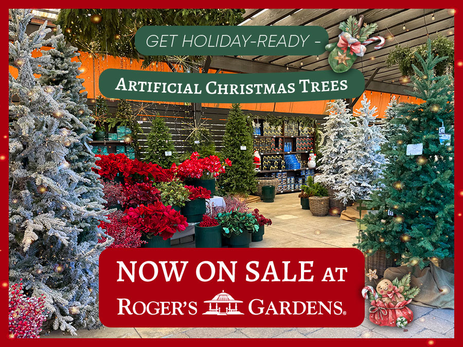 Roger's Garden Christmas Tree Sale
