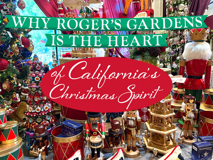 Roger's Gardens Christmas Boutique 2025