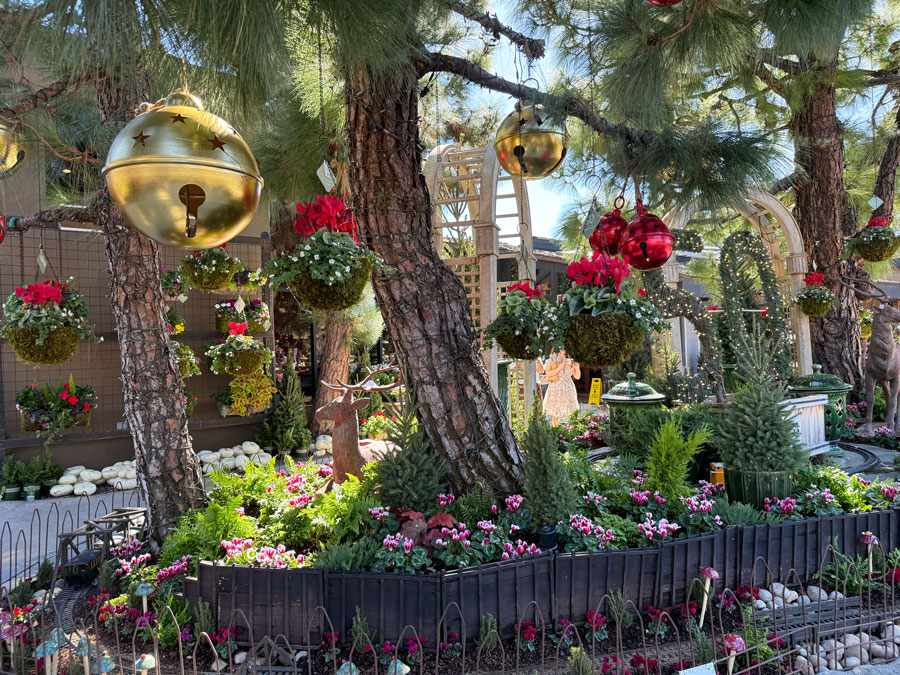 Roger's Gardens Christmas Boutique outside