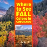 Best Places To See Fall Colors In Colorado