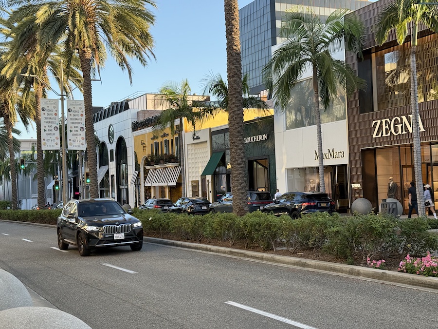 A street view of a high-end commercial district lined with tall palm trees.