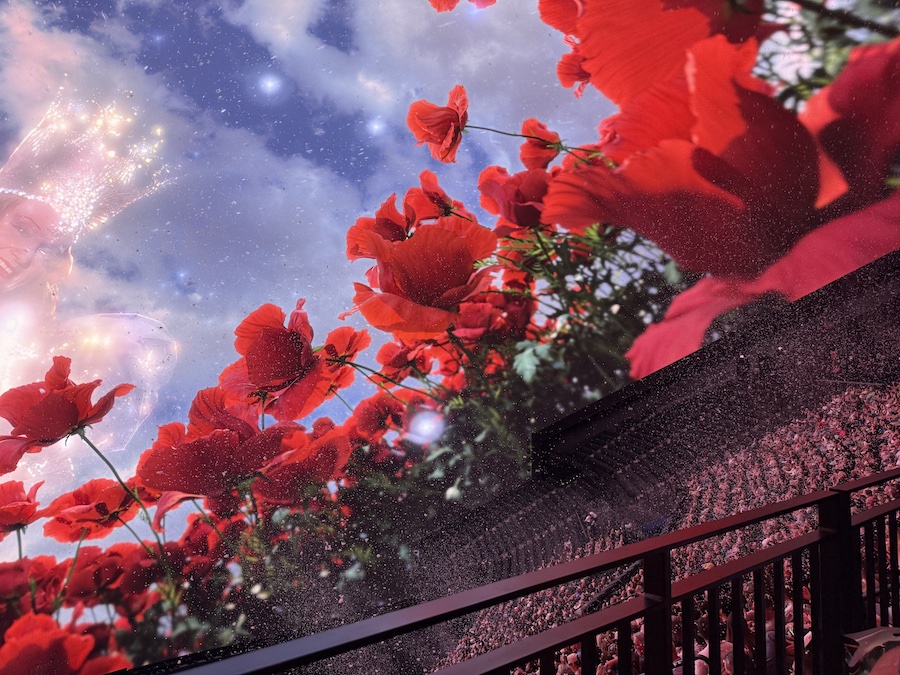 A dynamic, close-up image showing the viewer's perspective immersed in the Poppy Field scene.