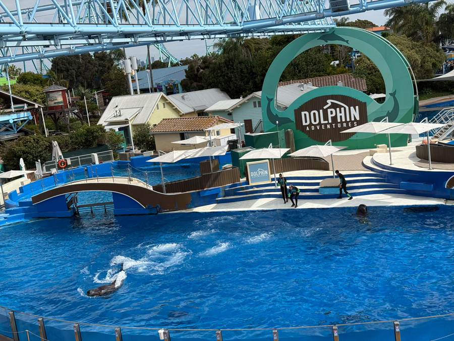 Dolphin Adventures at SeaWorld San Diego