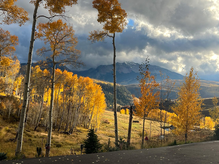 Forests and skies of Colorado