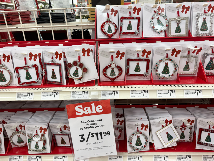 All Ornament frames by Studio Decor at Michael's