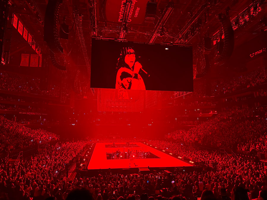 Red Lights and Clean Energy by Billie Eilish