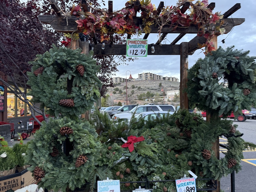 A display of lush evergreen wreaths decorated with pinecones, berries, and subtle Christmas accents