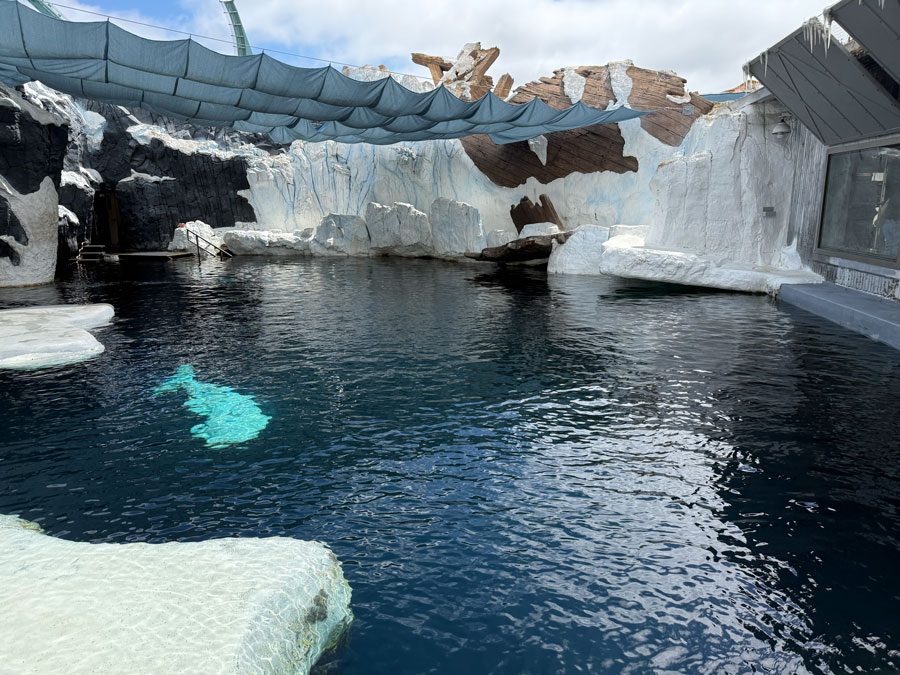 "Wild Arctic" exhibit at SeaWorld San Diego