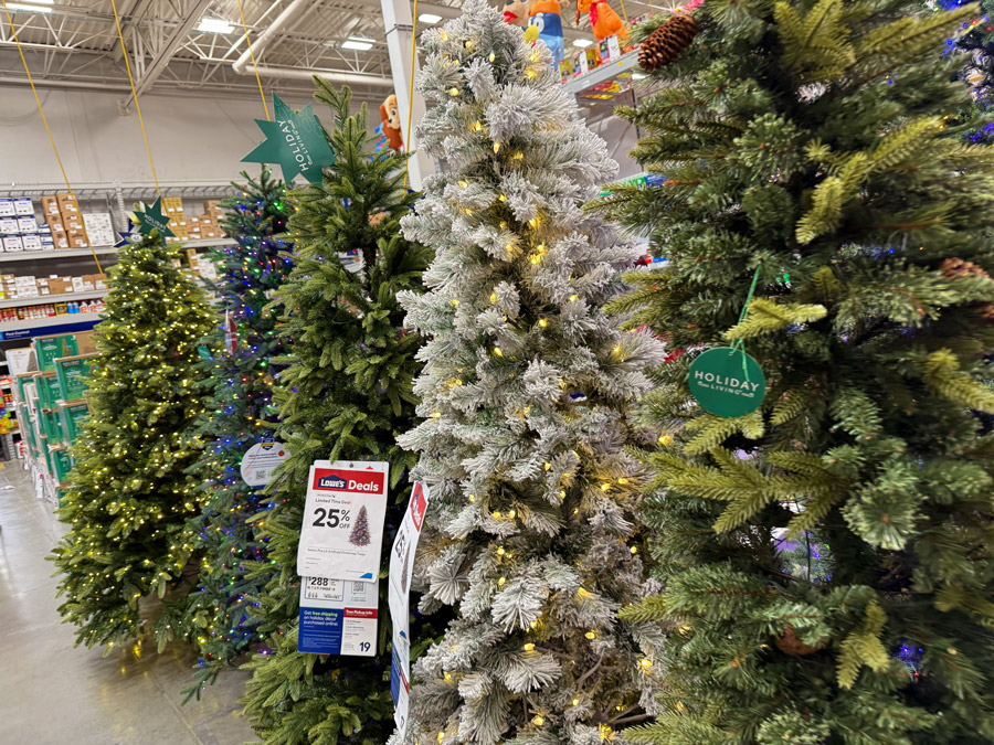 Christmas trees on sale at Lowe's