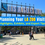 Exploring the Los Angeles Zoo: Top Animals and Visitor Tips