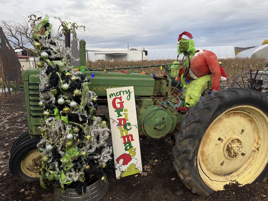 A bright “Merry Grinchmas” setup with colorful signage and Grinch-themed props adding playful holiday charm to the farm.