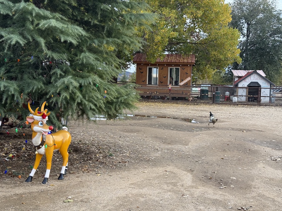 A rustic henhouse on the farm, surrounded by natural elements and farm fencing.